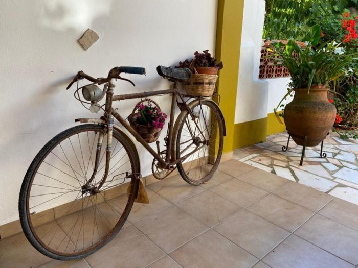 Casinha Da Avo Rosario Appartement Juncal  Buitenkant foto