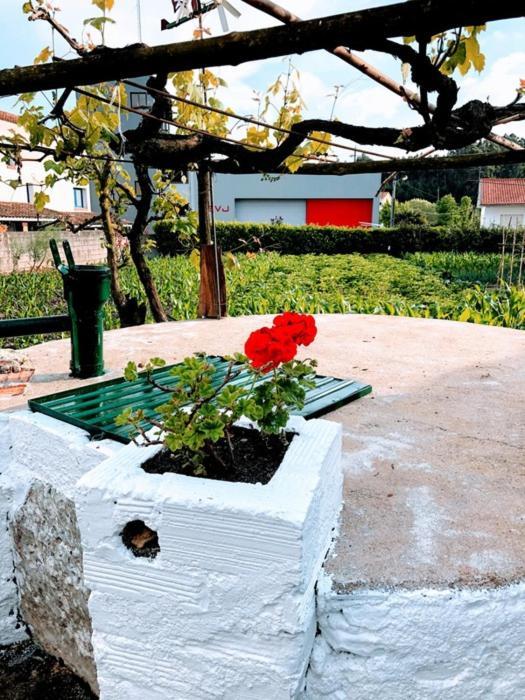 Casinha Da Avo Rosario Appartement Juncal  Buitenkant foto