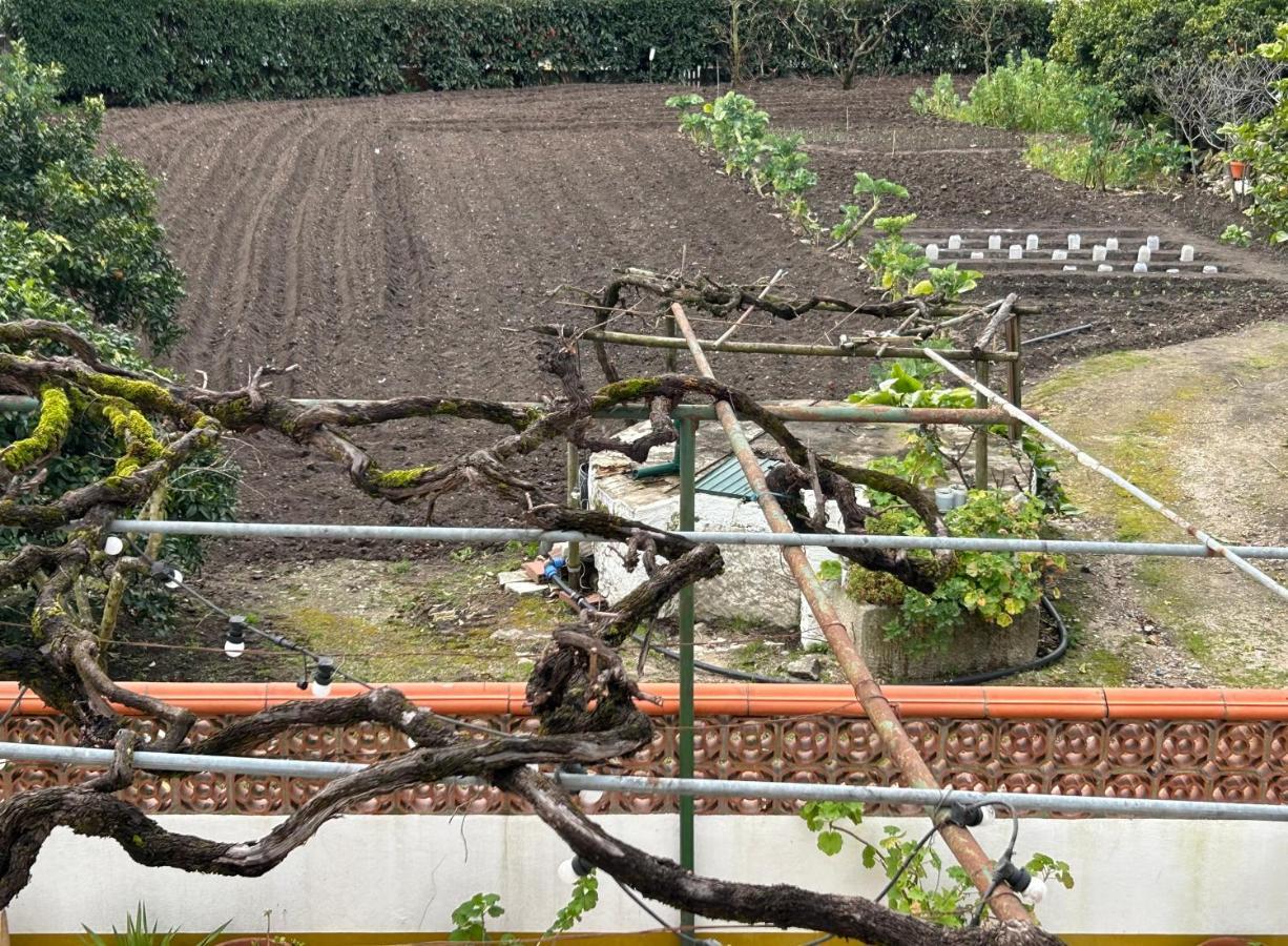 Casinha Da Avo Rosario Appartement Juncal  Buitenkant foto